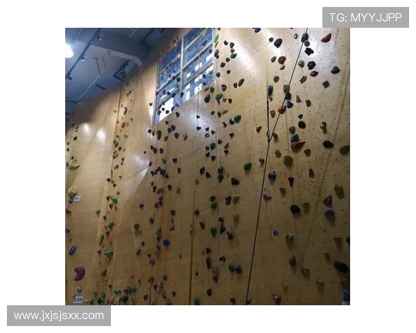 深圳攀岩队与南京攀岩队实力对比赛后分析与总结